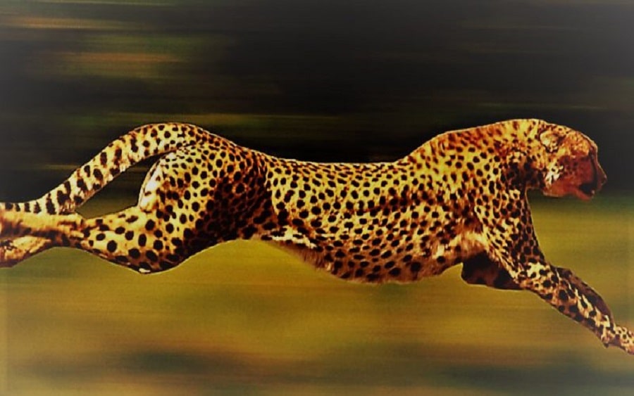 Progen vállalatirányítási, ügyviteli rendszerek